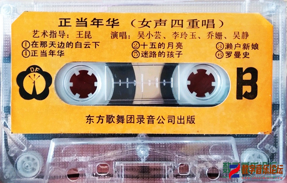 正当年华B.jpg