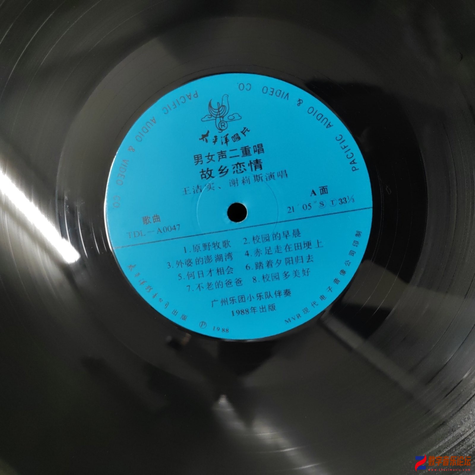CD-.jpg