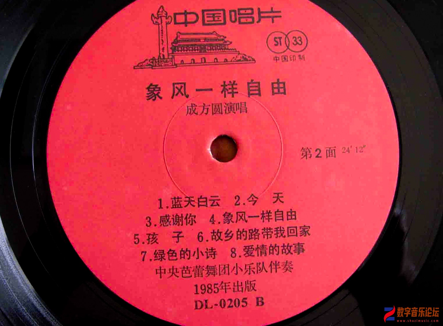 06.jpg