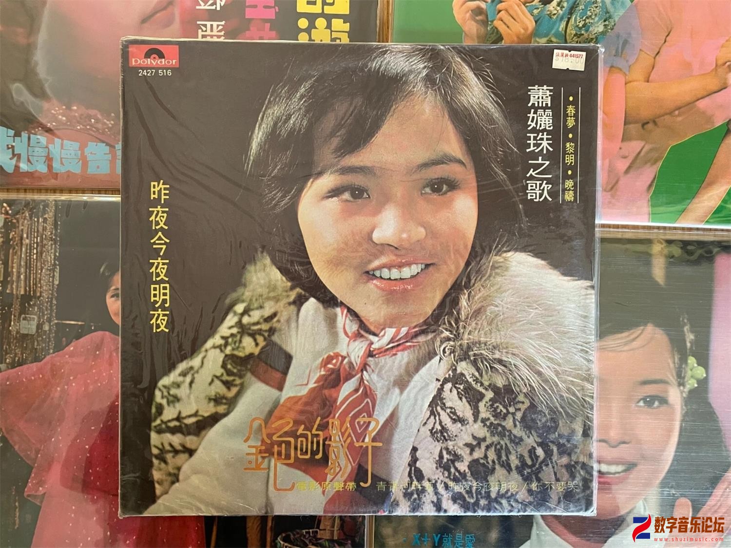 COVER.jpg