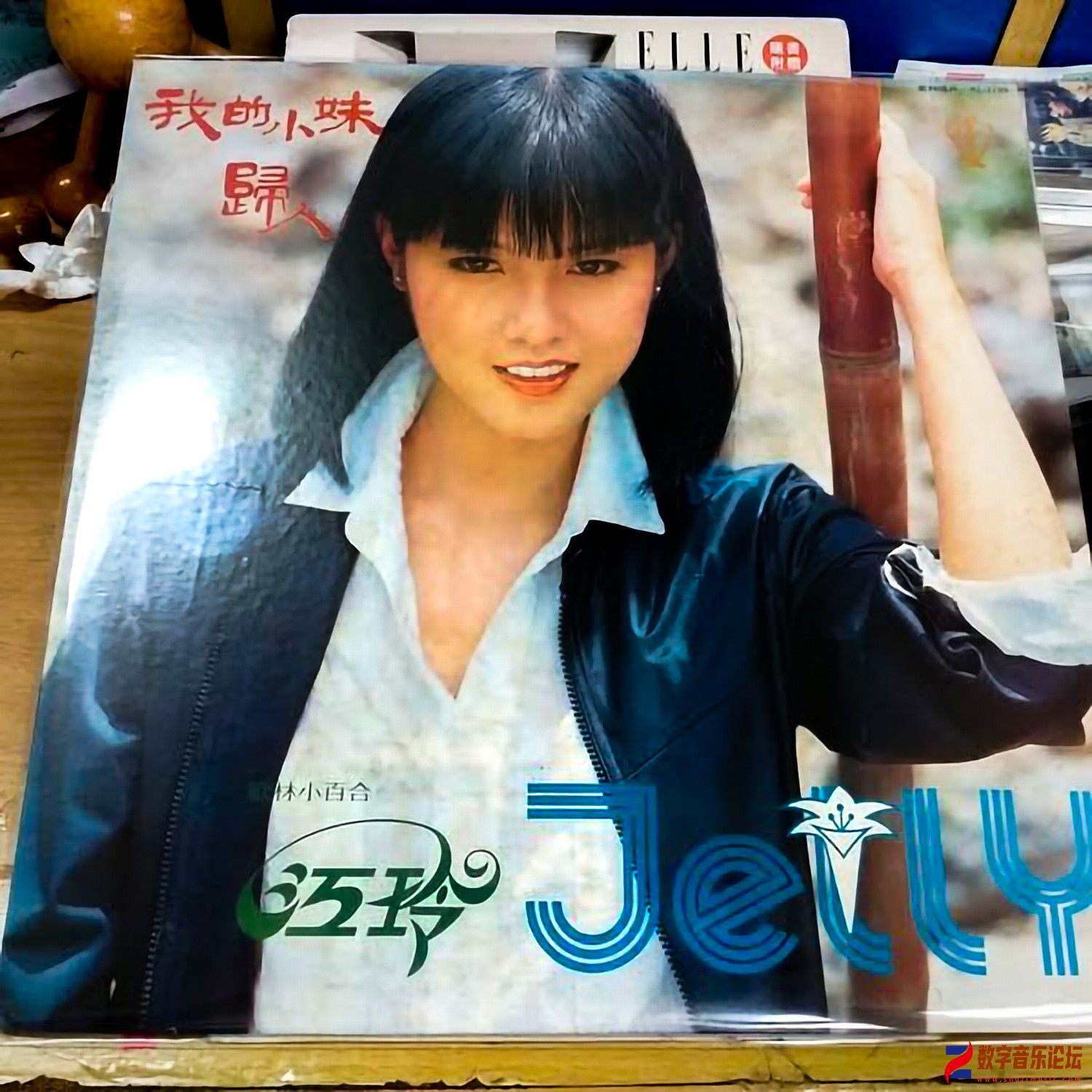 COVER.jpg