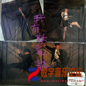 我有话要说（黑胶版）.jpg