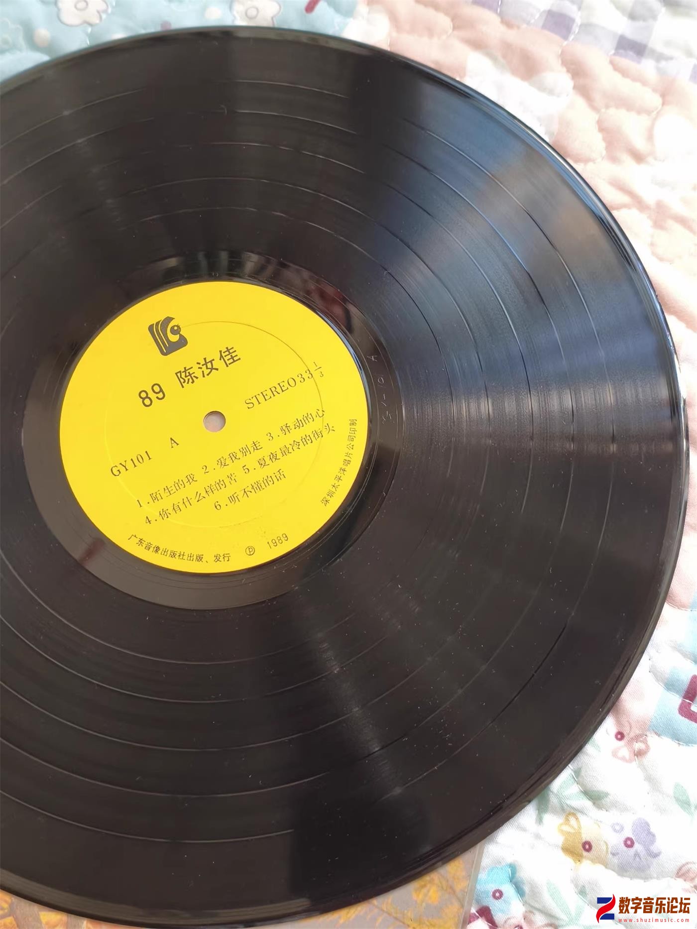 CD-.jpg