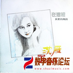 在这里（黑胶版）.jpg