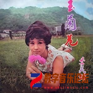 玉兰花.jpg