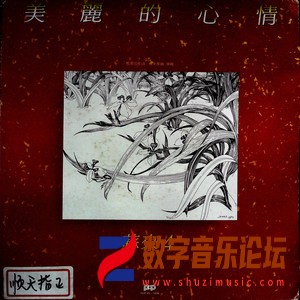 美丽的心情（黑胶版）.jpg