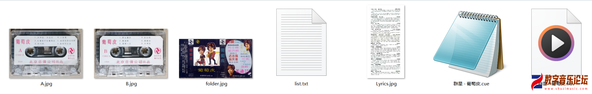 YY8016.png