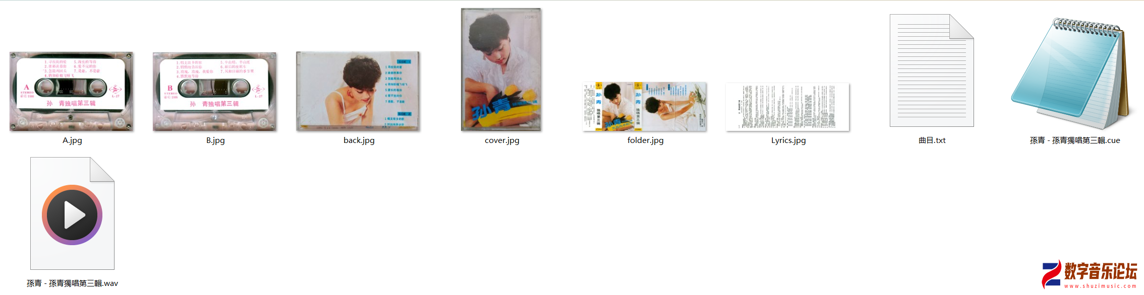 L-27.png