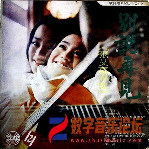 别说再见（黑胶版）.jpg