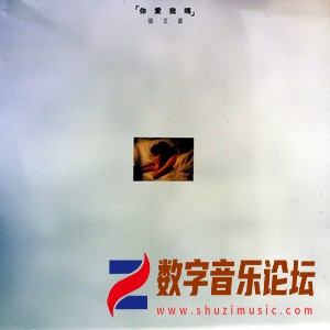 你爱我吗（黑胶版）.jpg