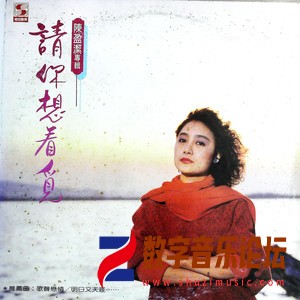 请你想看觅（黑胶版）.jpg