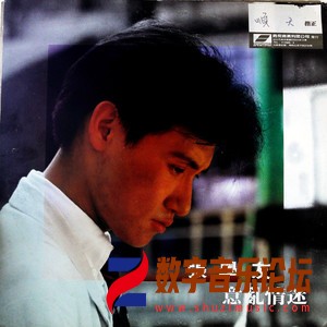 意乱情迷（黑胶版）.jpg
