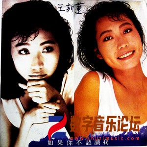 如果你不认识我（黑胶版）.jpg