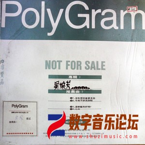 没有想到会梦见你（黑胶版）.jpg