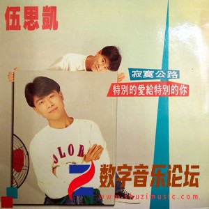 特别的爱给特别的你 (Burmester)（黑胶版）.jpg