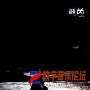 有情天地（黑胶版）.jpg