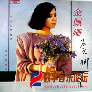 童年的桔梗花（黑胶版）.jpg