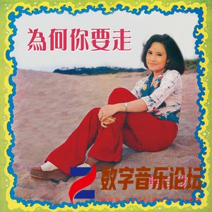 为何你要走.jpg