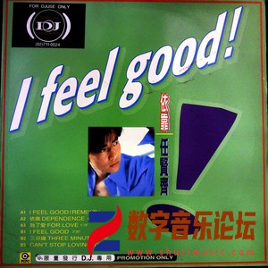 I Feel Good 依靠（黑胶版）.jpg