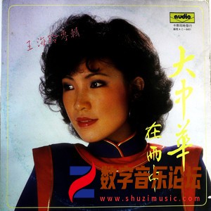 大中华 在雨中 (Burmester 100)（黑胶版）.jpg