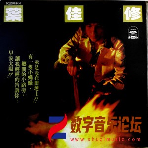 叶佳修之歌（黑胶版）.jpg
