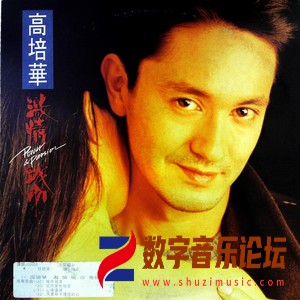 激情城市（黑胶版）.jpg