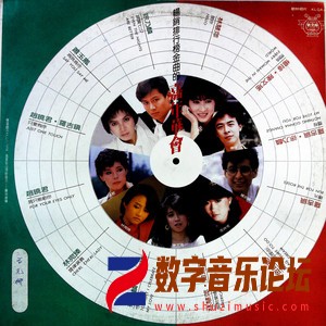 畅销排行榜金曲的嘉年华会（黑胶版）.jpg