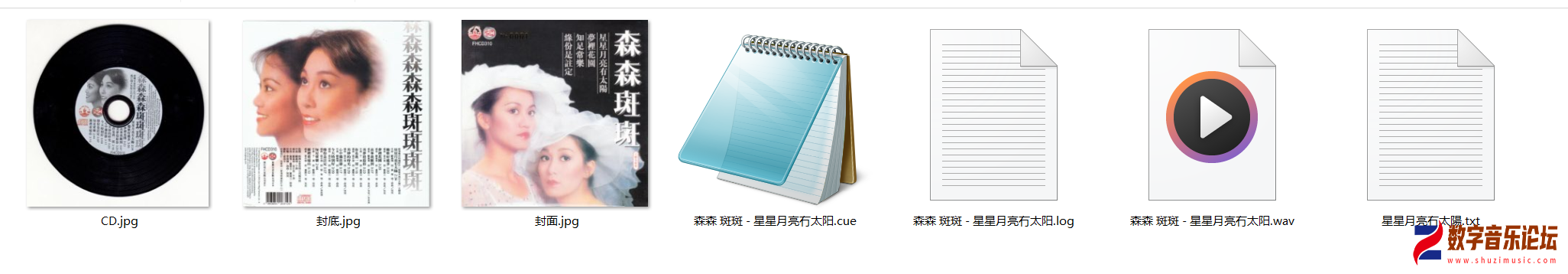 FHCD310.png