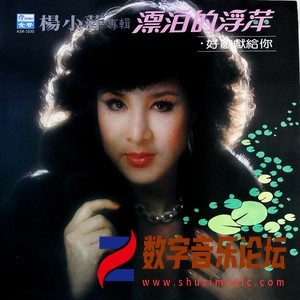 漂泊的浮萍 好梦太匆匆（黑胶版）.jpg