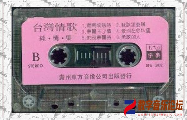 林媛媛《台湾情歌(纯情集)》B.jpg