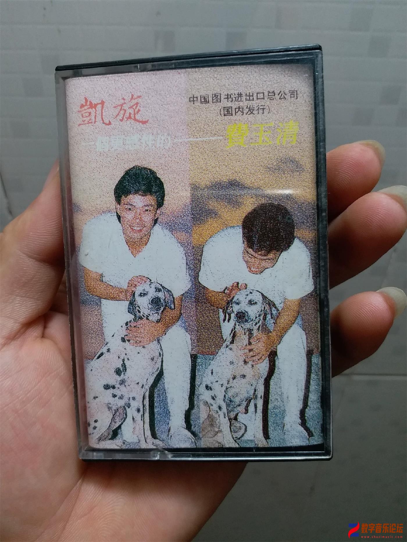 COVER.jpg