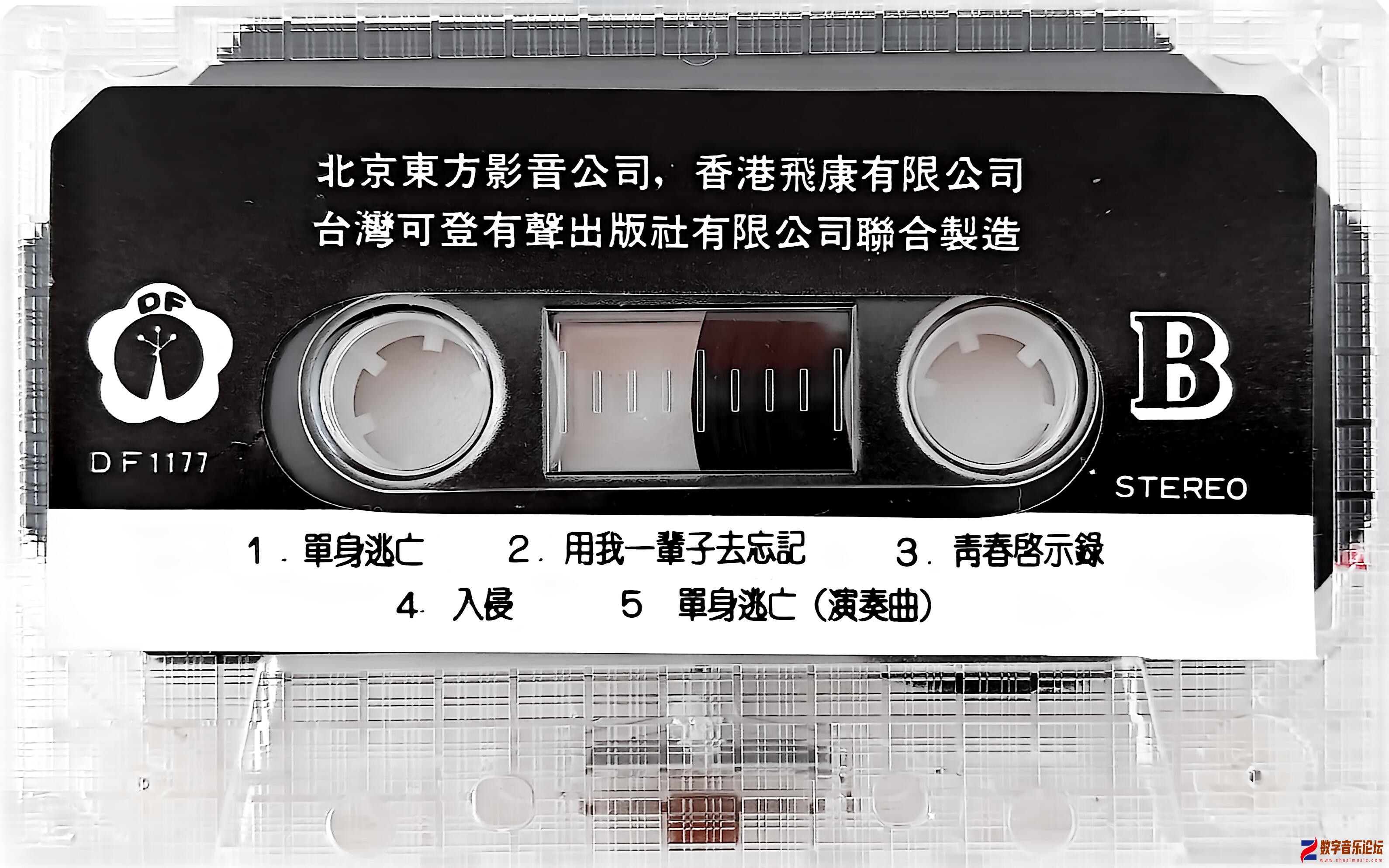 带体 B面.jpg